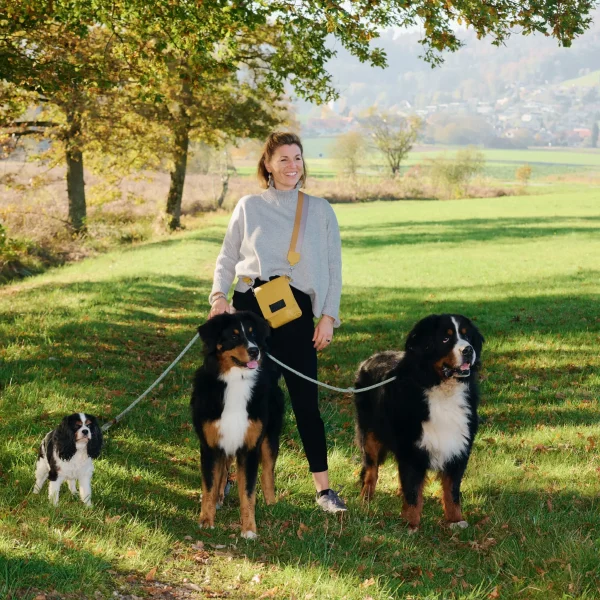 Aline Zwahlen Fernandez Model Schweiz Hunde Model Bernardiner